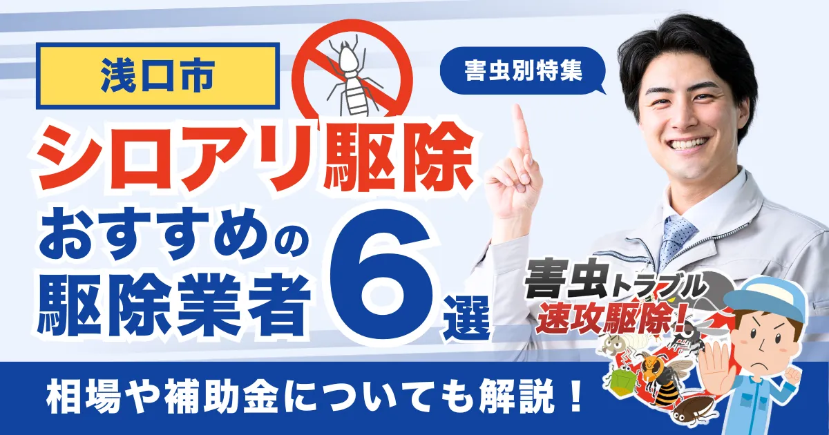 浅口市のシロアリ駆除業者おすすめ6選！相場や補助金についても解説！