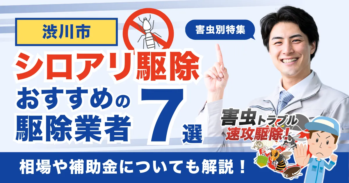 渋川市のシロアリ駆除業者おすすめ7選！相場や補助金についても解説！