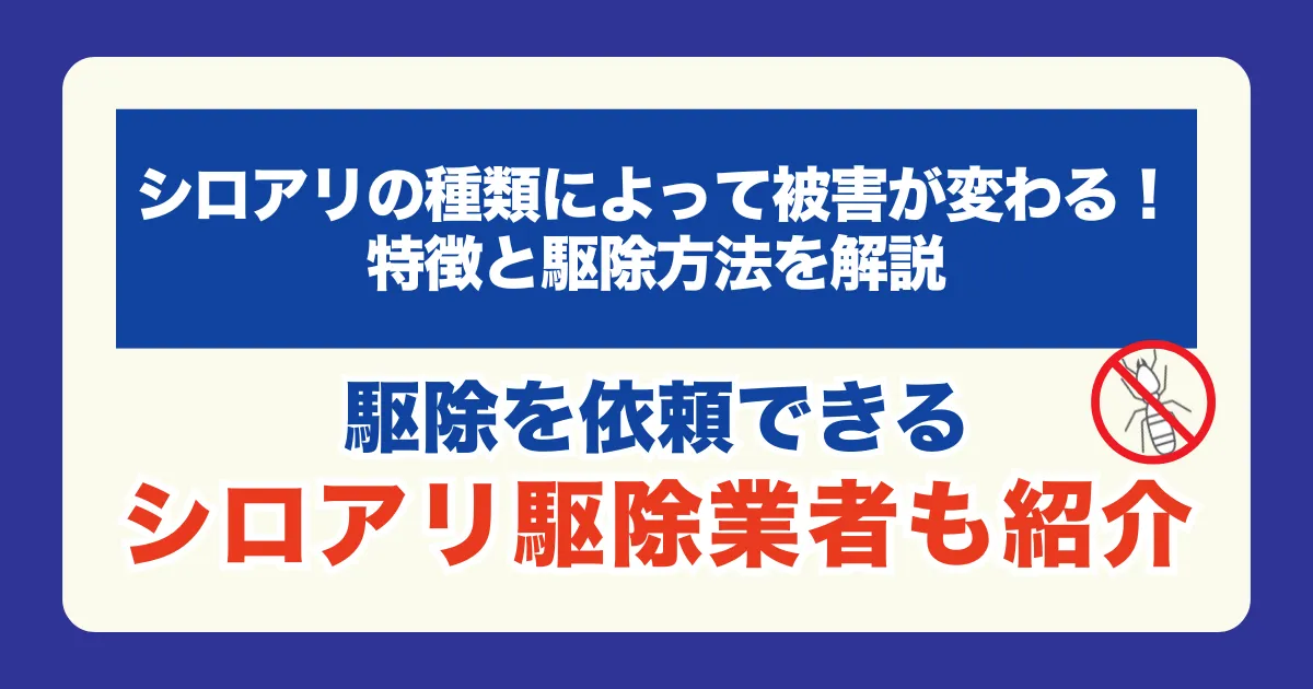 【シロアリの種類によって被害が変わる！特徴と駆除方法を解説】おすすめのシロアリ駆除業者も紹介！
