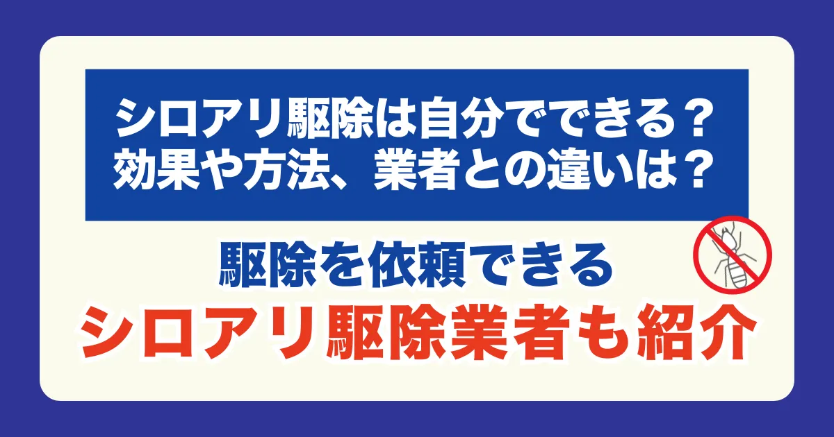 【シロアリ駆除は自分でできる？効果や方法、業者との違いとは？】駆除を依頼できるシロアリ駆除業者も紹介！