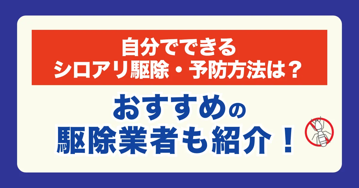 【失敗しない！】自分でできるシロアリ駆除や予防方法を解説！おすすめのシロアリ駆除業者も紹介！