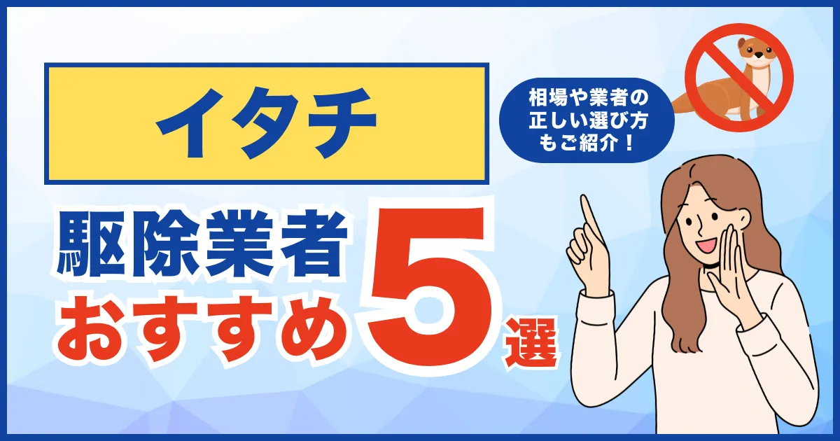 おすすめのイタチ駆除業者5選！費用相場・サービス・再発保証について徹底比較！